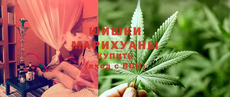 Конопля White Widow  дарнет шоп  Новошахтинск 